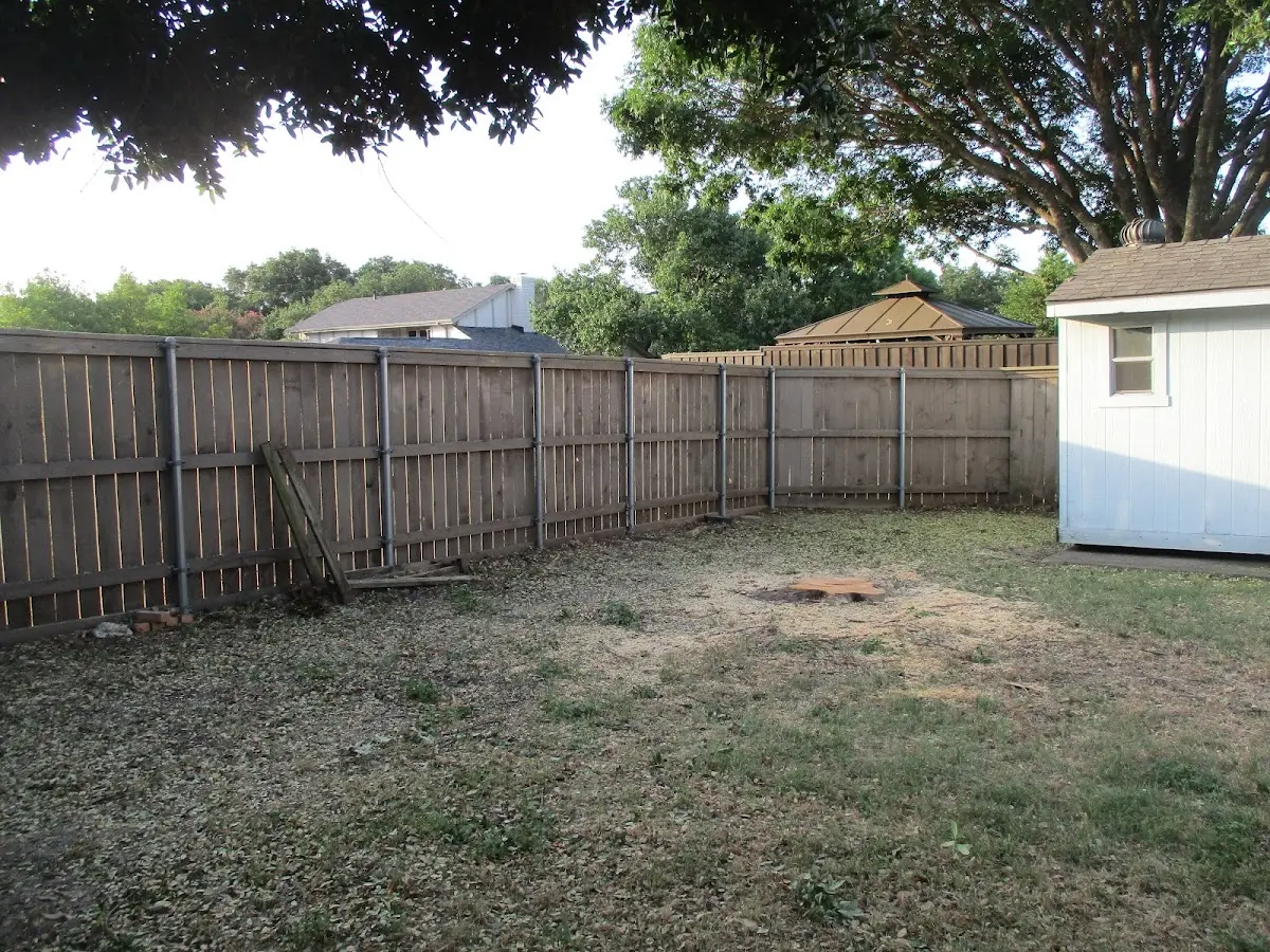 Cleared yard after professional tree removal in Piney Creek